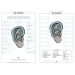 GMI INSTITUTE Ear anatomy chart 21x30 laminated - EN-PLGMI03-AN