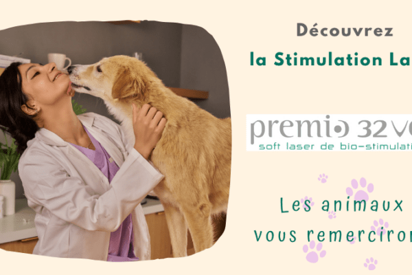 Illsutration : Découverte du Premio 32 Vet