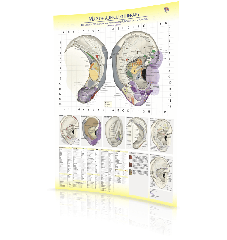 H. R. Lehner Map Of Auriculotherapy - According To P. Nogier And R. Bourdiol 60X85Cm
