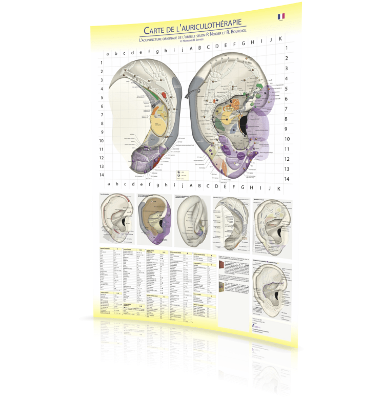 H. R. Lehner Cartografia De Auriculotherapia - Segundo P. Nogier E R. Bourdiol 60X85Cm
