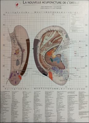F. Bahr - Chart Of The New Ear Acupuncture