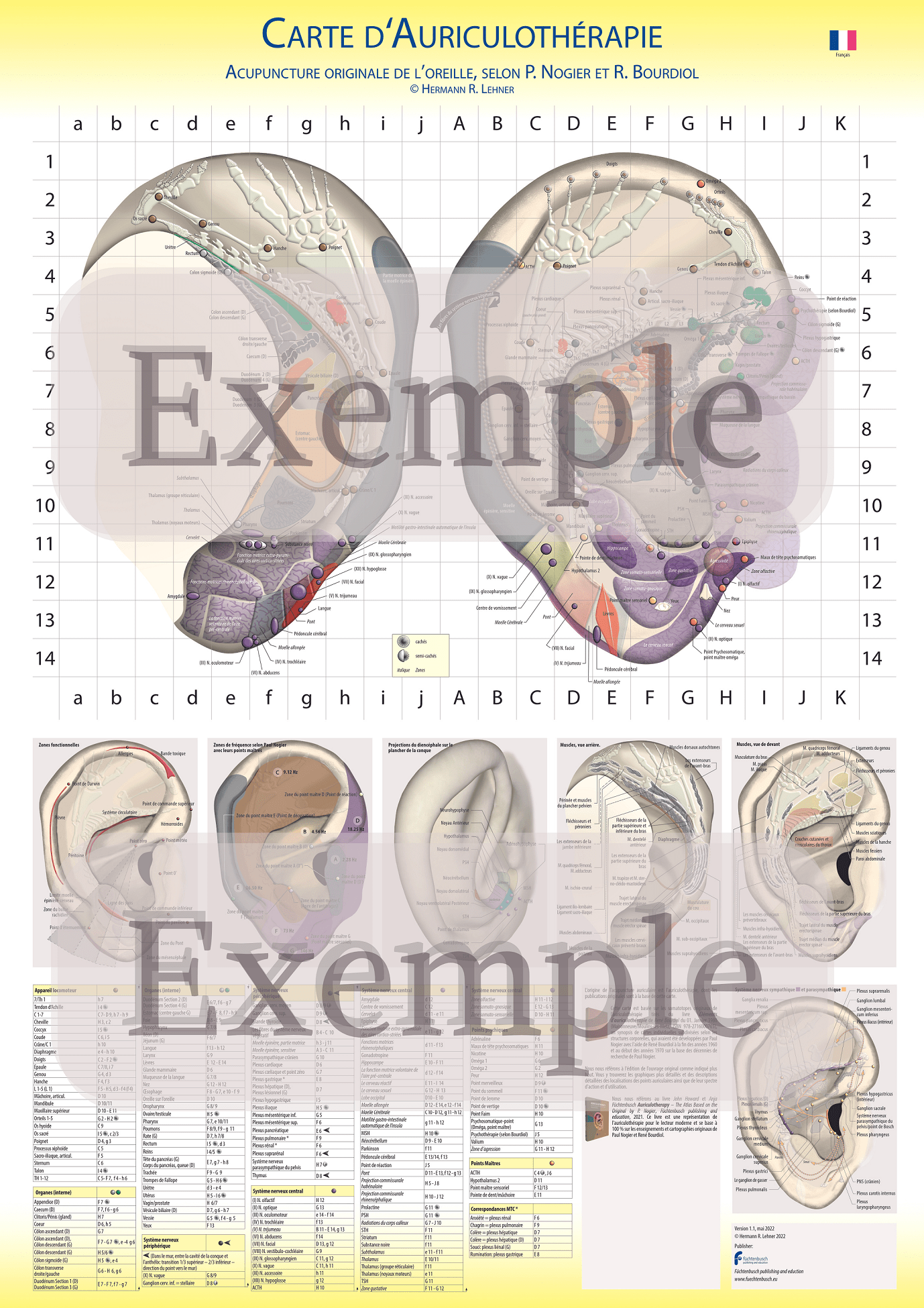 H. R. Lehner Carte D’auriculothérapie - Selon P. Nogier Et R. Bourdiol 60X85Cm