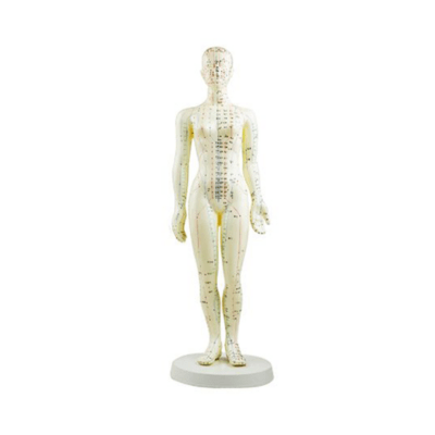 Mannequin Femme 48 Cms