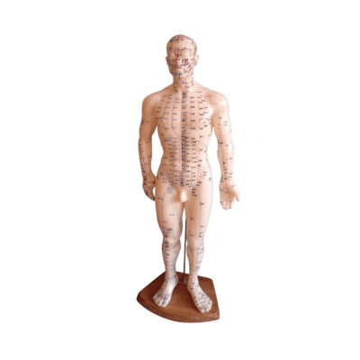 Mannequin Homme 50 Cms