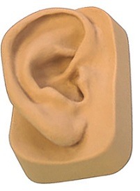 Oreille Silicone Medical Droite