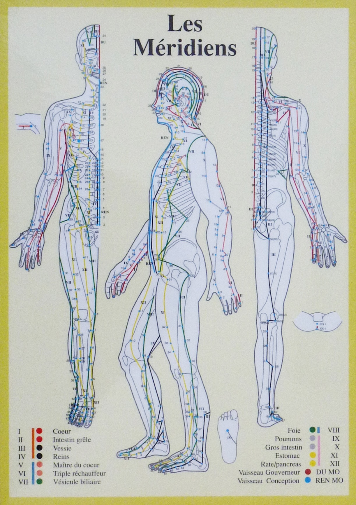 J. V. Baarle 42X60 Méridiens - Fr - Plastifiée