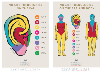 Gmi Institute Nogier Frequencies On The Ear And Body Chart 21X30 Laminated – En