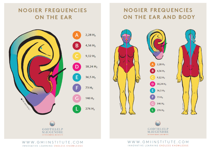 Gmi Institute Nogier Frequencies On The Ear And Body Chart 21X30 Laminated – En
