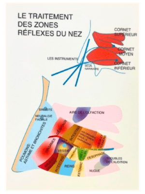 J. V. Baarle 15X21 Zone Réflexe Nez - Fr  - Plastifiée